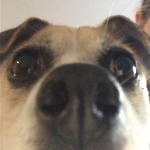 Meet your Posher, Calleigh